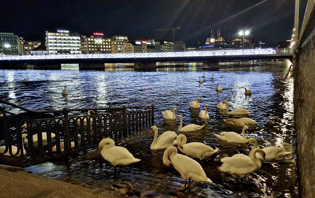 Genf am Abend in der Adventszeit